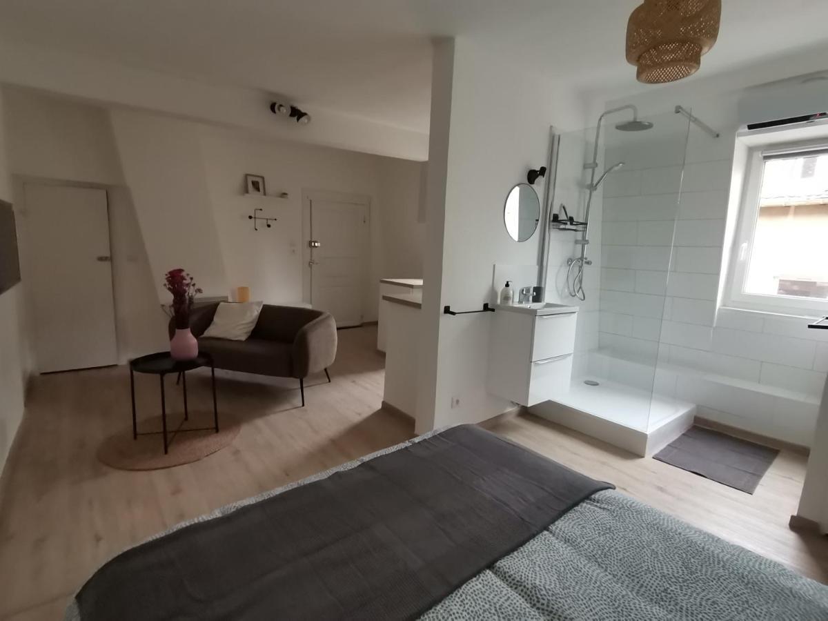 Toi Mon Toit Lägenhet Colmar Exteriör bild